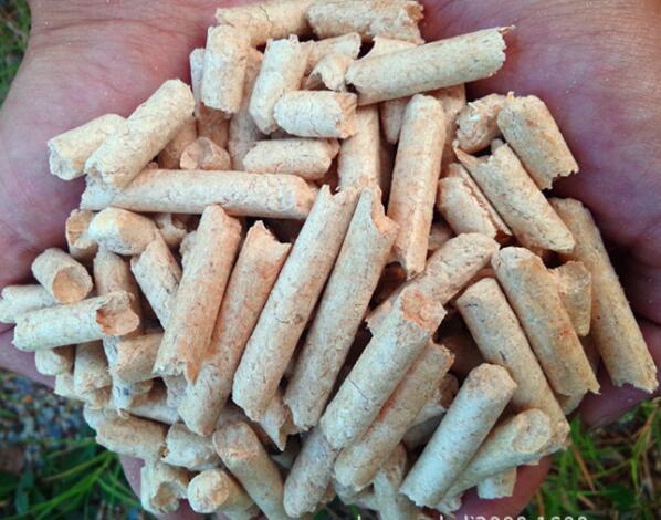 生物質(zhì)燃料顆粒機設備