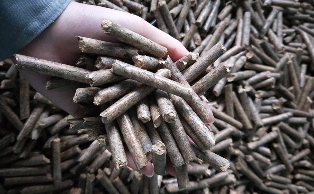 鋸末顆粒機顆粒，一種快速增長的能源載體