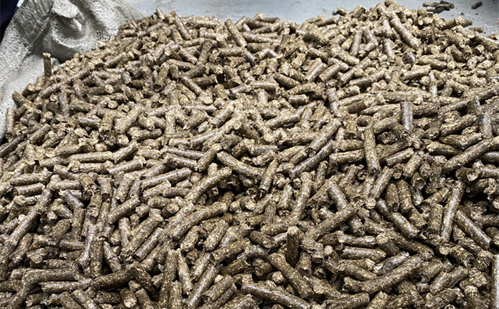 鋸末顆粒機生物質顆粒 鋸末顆粒機生物質顆粒