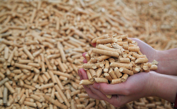 鋸末顆粒機生產的生物質顆粒 鋸末顆粒機生產的生物質顆粒