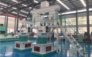 補貼時代，生物質(zhì)顆粒市場如何了呢？你想知道的在這里