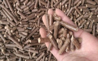 鋸末顆粒機生物質燃料與燃煤對比情況如何？