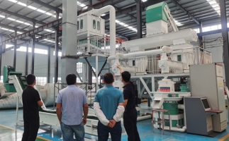 需要掌握木屑制粒機生產線的哪些輔助設備不能少？