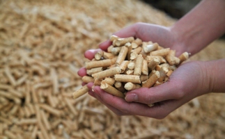 黟縣洪星鄉：“鋸末顆粒機的小顆?！睋Q來綠富雙贏